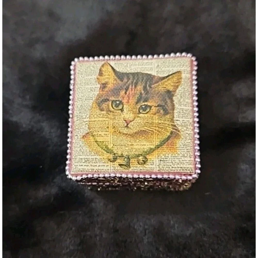 Cute Vintage Look Painted Beaded Trinket Box With Cat Image And Wooden Inside